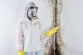 Why You Should Choose Our Mold Remediation Services in Sheridan, CO